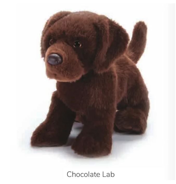 Stuffed chocolate lab toy on a white background