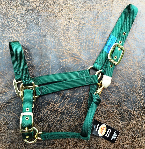 Fabtron 1" Adjustable 'Comfort Fit' Nylon Horse Halters