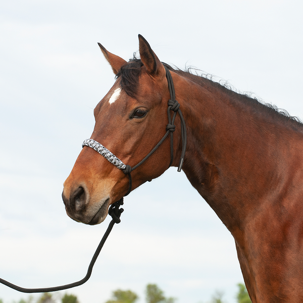 Black string halter with flat braided noseband and attached lead rope