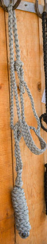 Gray braided flat nose halter with attached lead rope.