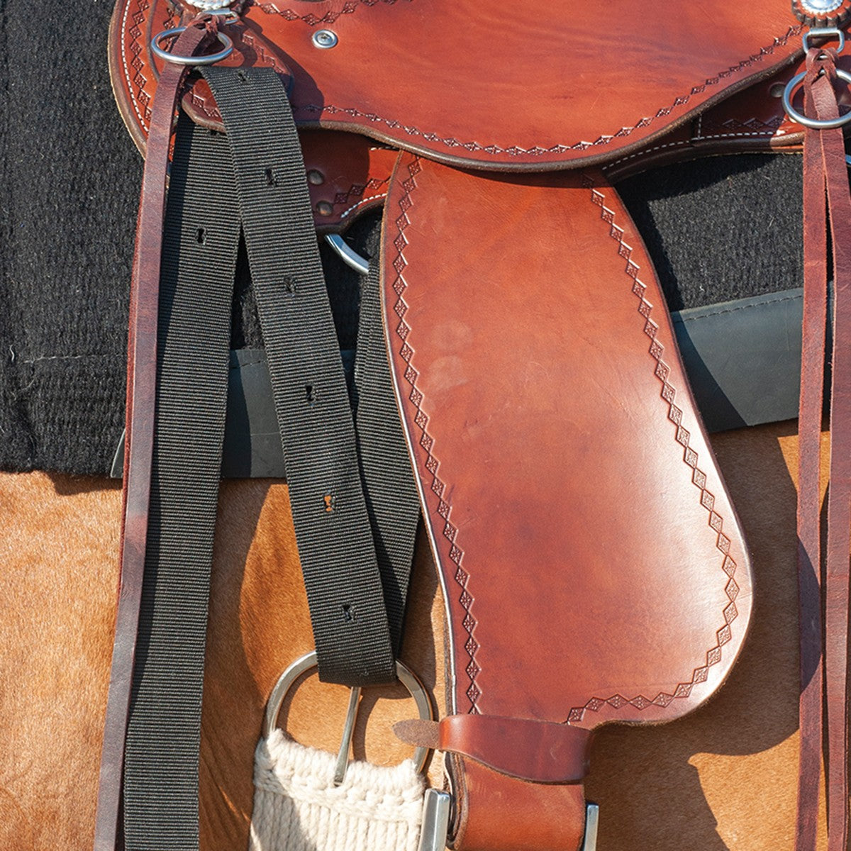 Attached Cashel black nylon tie strap showing the strap connected to the saddle and a tightened girth.