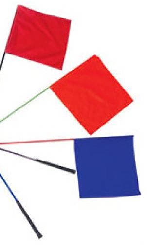 FLAG WHIP