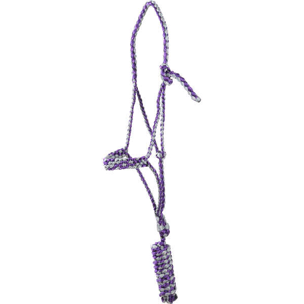 Purple and gray braided flat nose halter with attached lead rope.