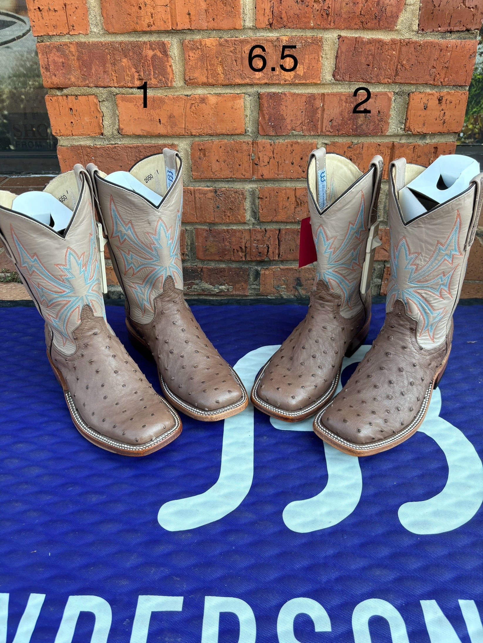 Women's Anderson Bean Mink Full Quill Ostrich Boots with a wide square toe and a Sable Kidskin shaft. 