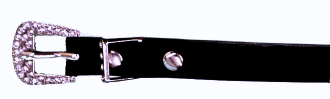 Black leather had band with Rooster Conchos separated by Silver bands. Close up view of buckle closure. 