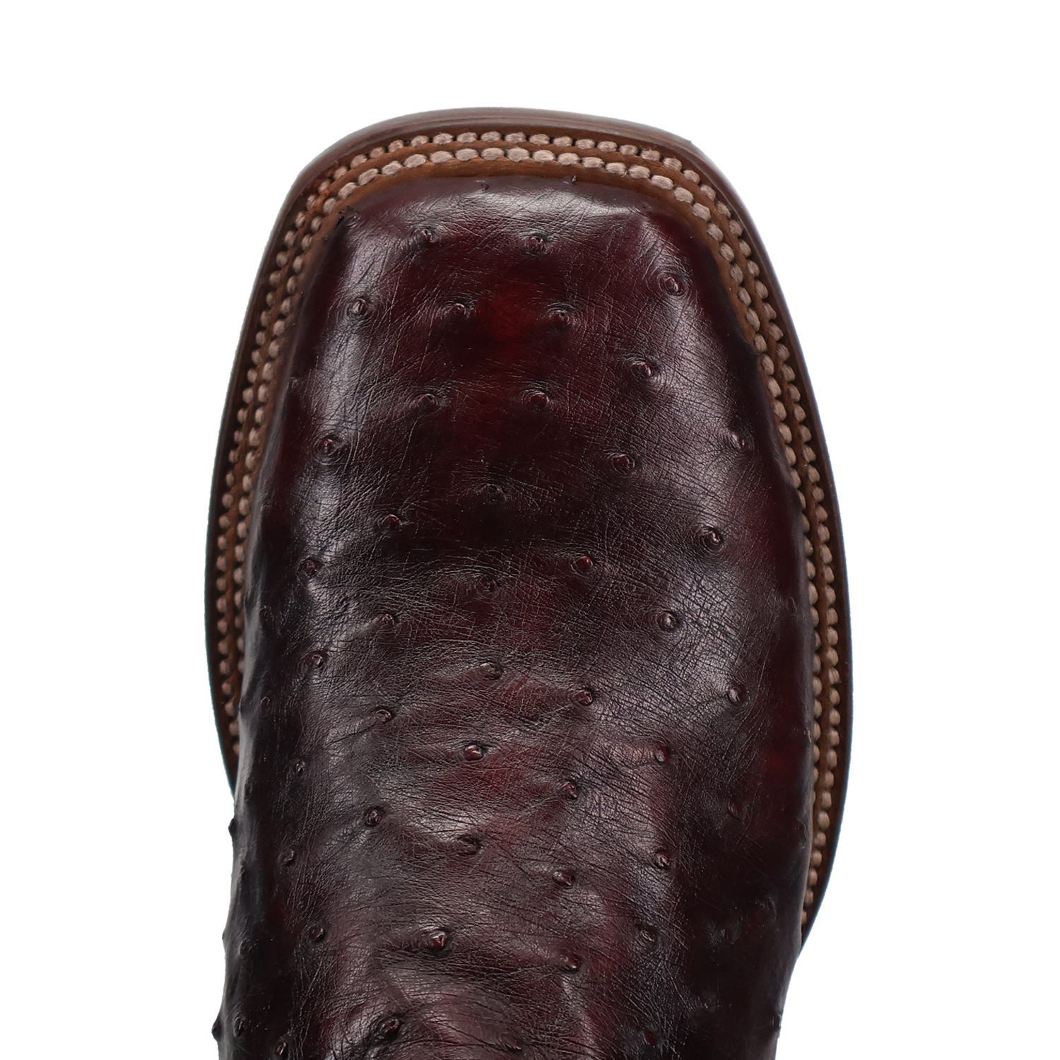 Dan Post DP5012 Men's 11" Alamosa Black Cherry Full Quill Ostrich Wide Square Toe Boots *Closeout*