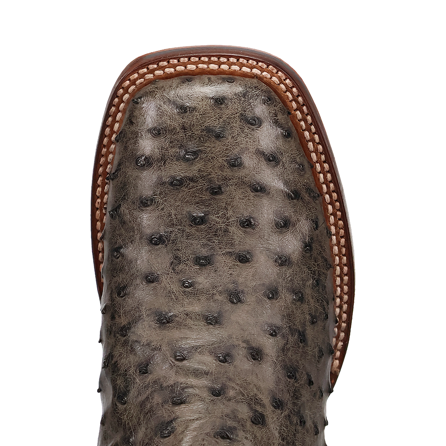 Dan Post DP5013 11" Alamosa Grey Full Quill Ostrich Wide Square Toe Boots