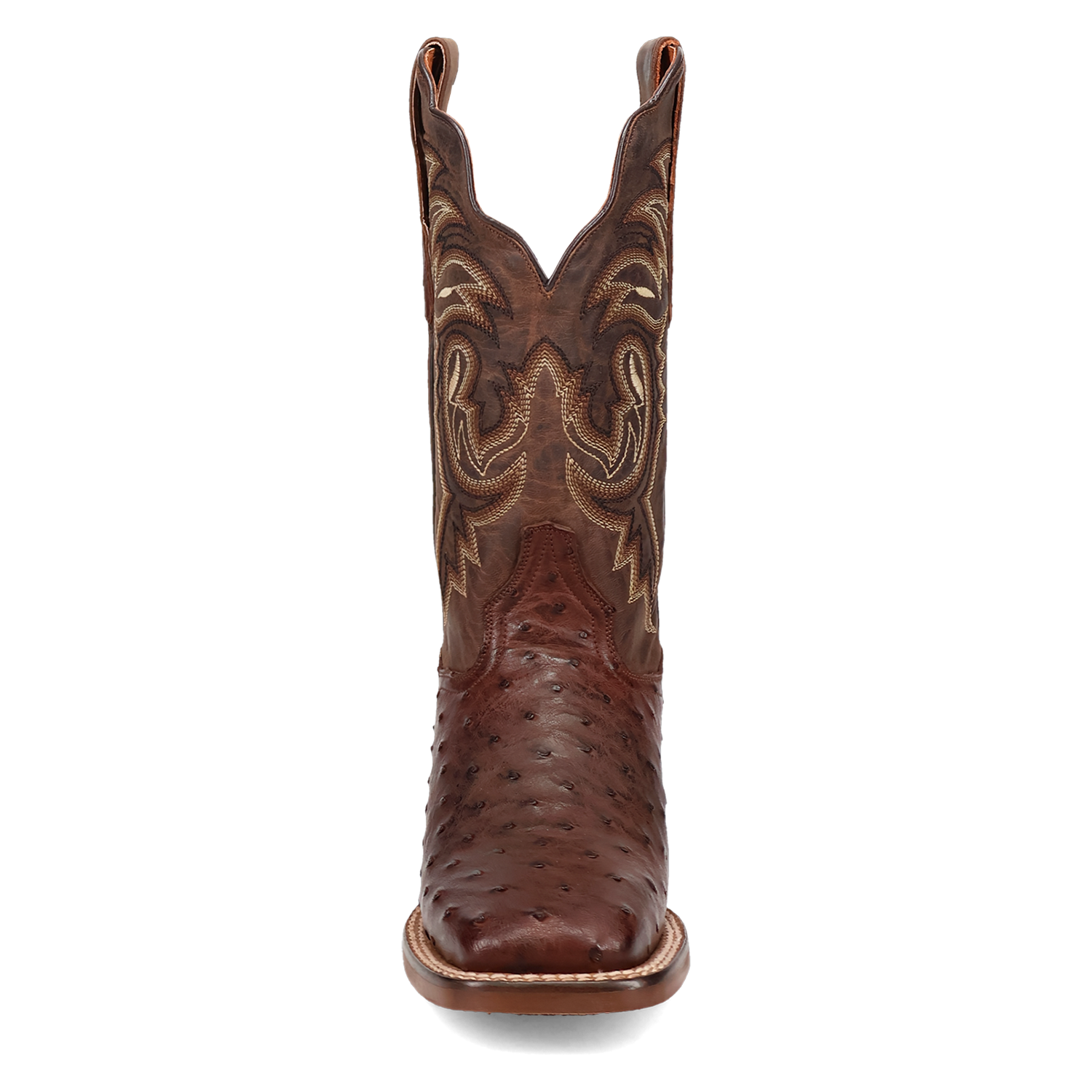 A front view of a Women's Dan Post square toe full quill ostrich boot in chocolate color with embossed detailing.