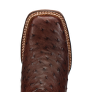A toe view of a Women's Dan Post square toe full quill ostrich boot in chocolate color with embossed detailing.