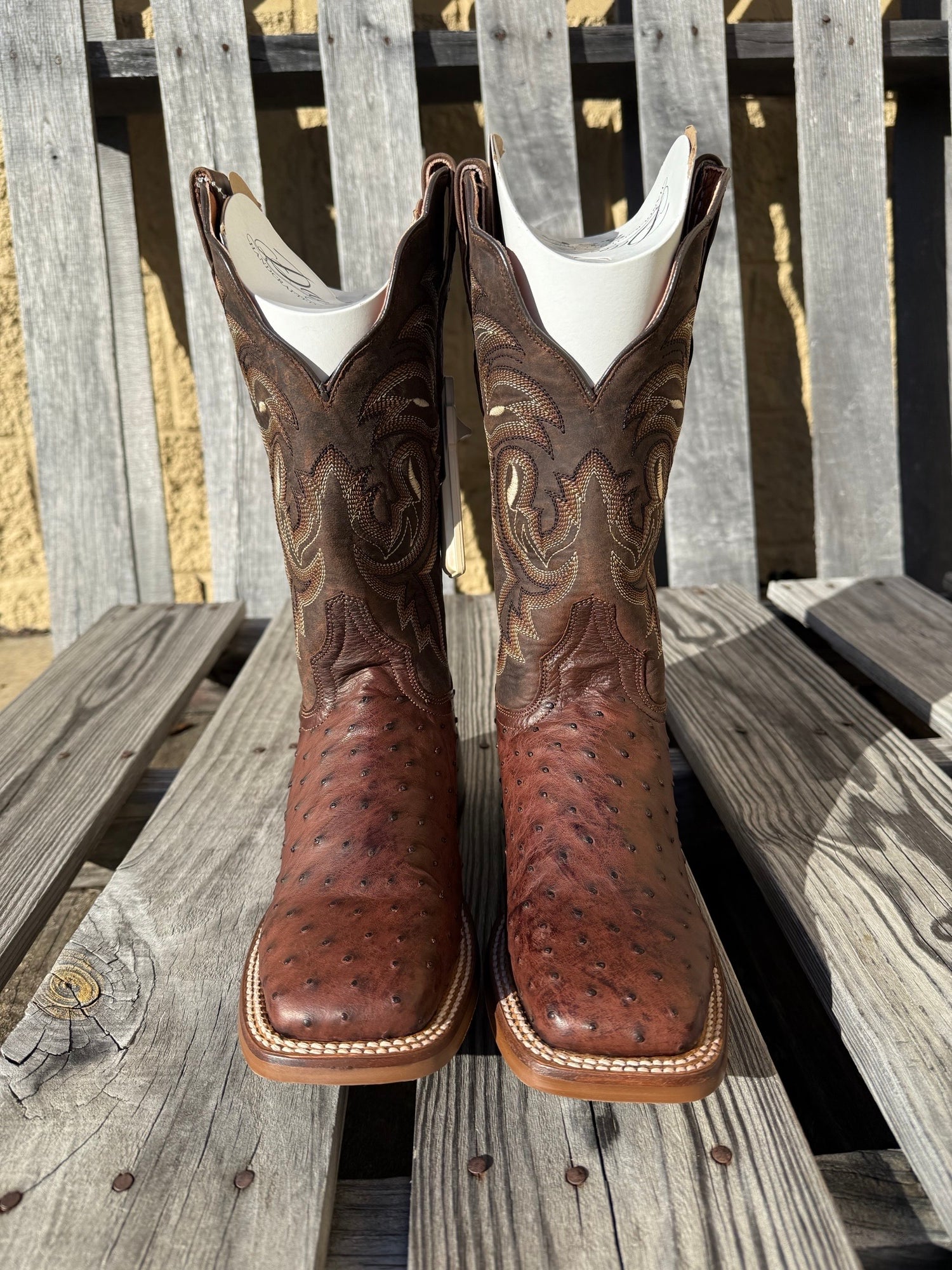 A lifestyle front view of a Women's Dan Post square toe full quill ostrich boot in chocolate color with embossed detailing.