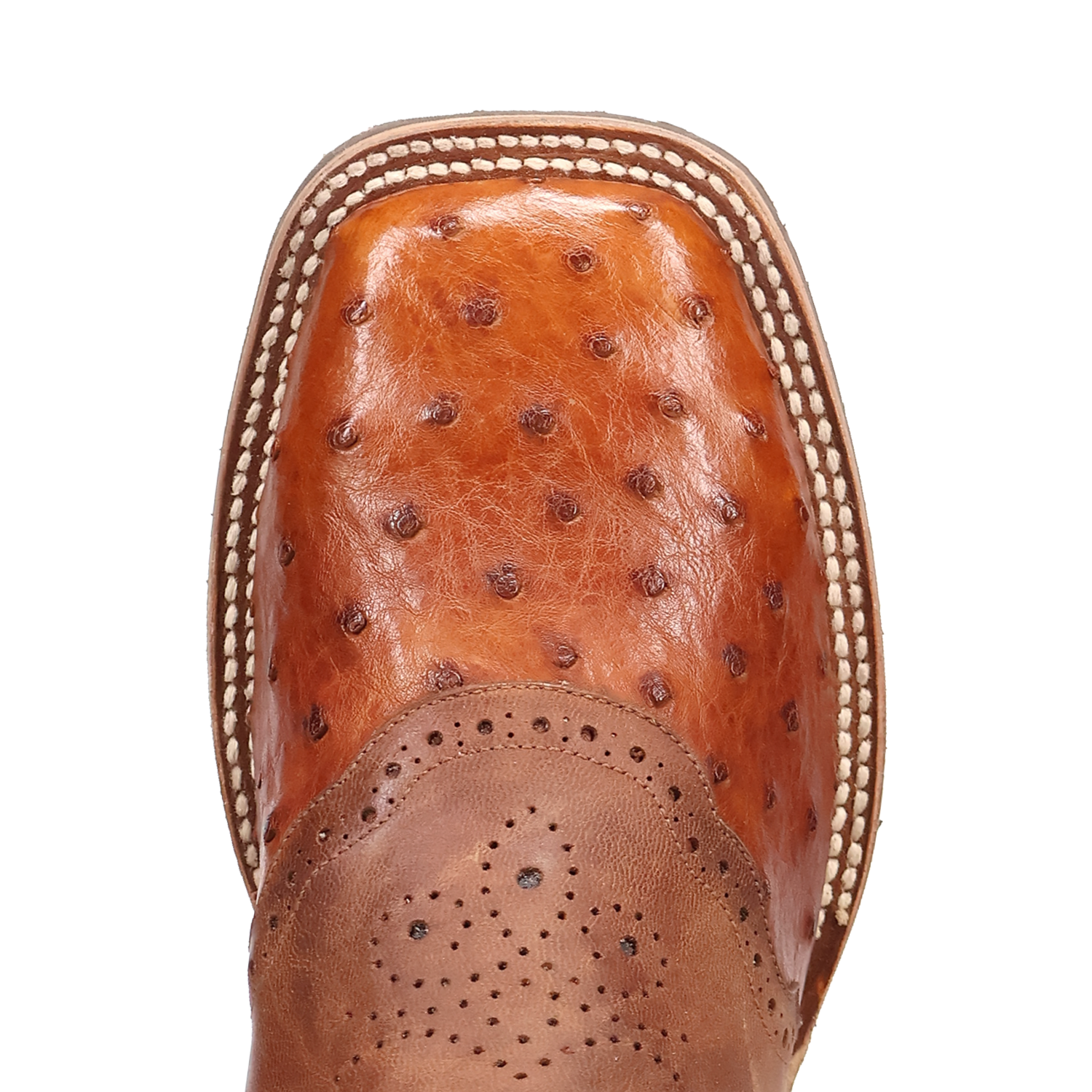 Dan Post DP6059 11" Martel Brown & Bone Full Quill Ostrich Wide Square Toe Boot With Saddle Vamp *Closeout*