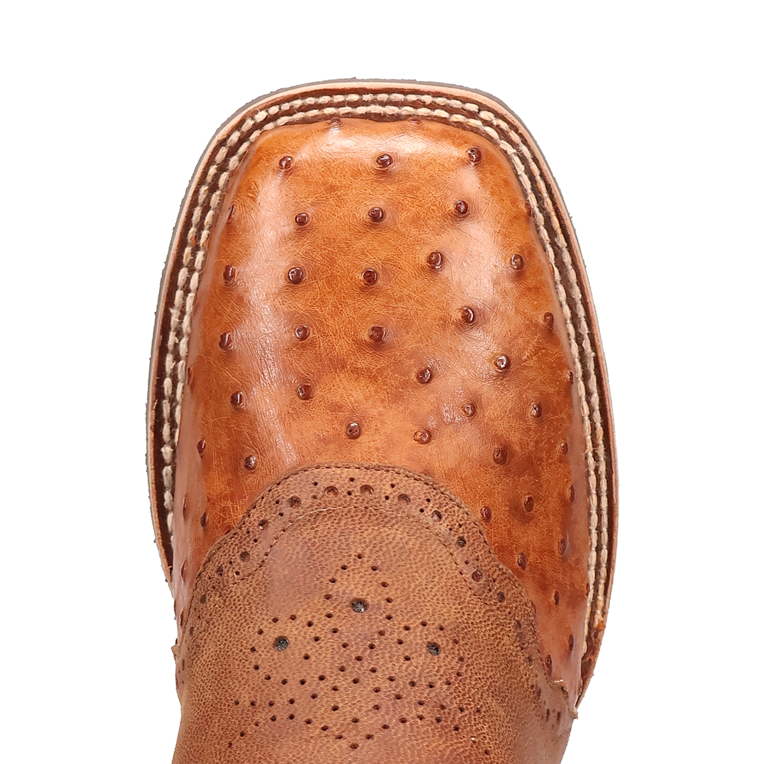 Dan Post DP6060 11" Martel Brown & Blue Full Quill Ostrich Wide Square Toe Boot With Saddle Vamp *Closeout*