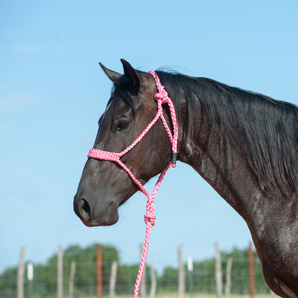 CASHEL HTR-BMTH FLAT BRAID HALTER AND LEADROPE