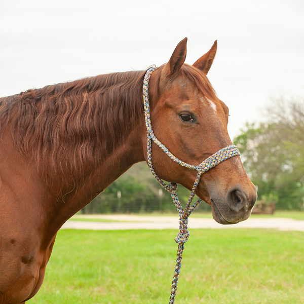 CASHEL HTR-BMTH FLAT BRAID HALTER AND LEADROPE