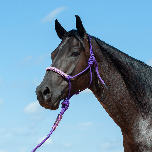 CASHEL HTR-BNRH FLAT BRAID HALTER AND LEADROPE