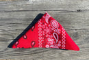 Red bandana with a classic paisley pattern. 