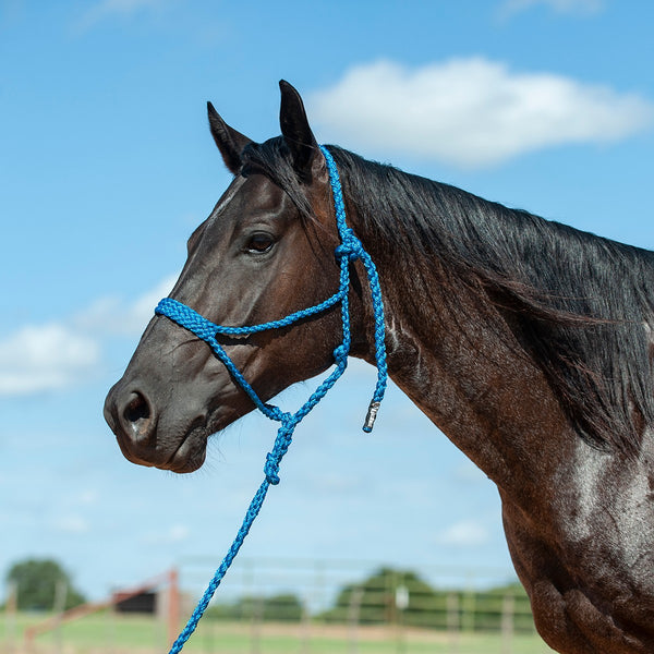 Blue Flat Braid Halter with Lead