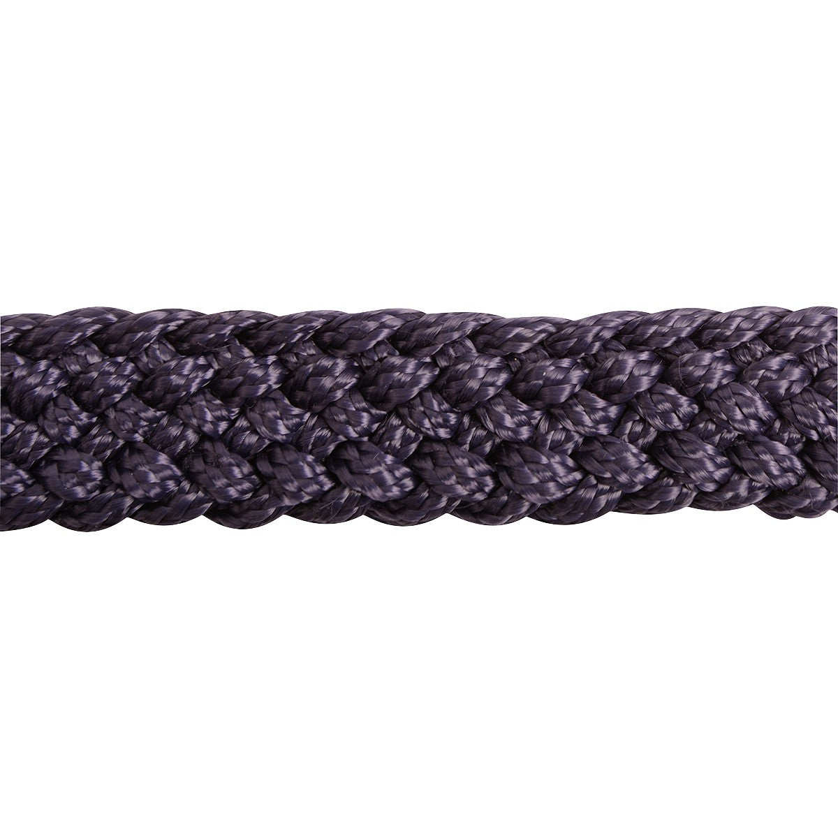 Purple braided rope for halter