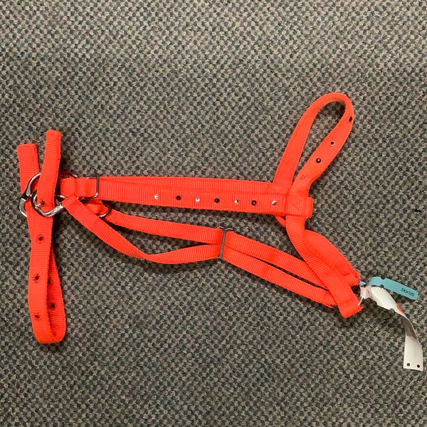 RHN Halter Hunter Orange