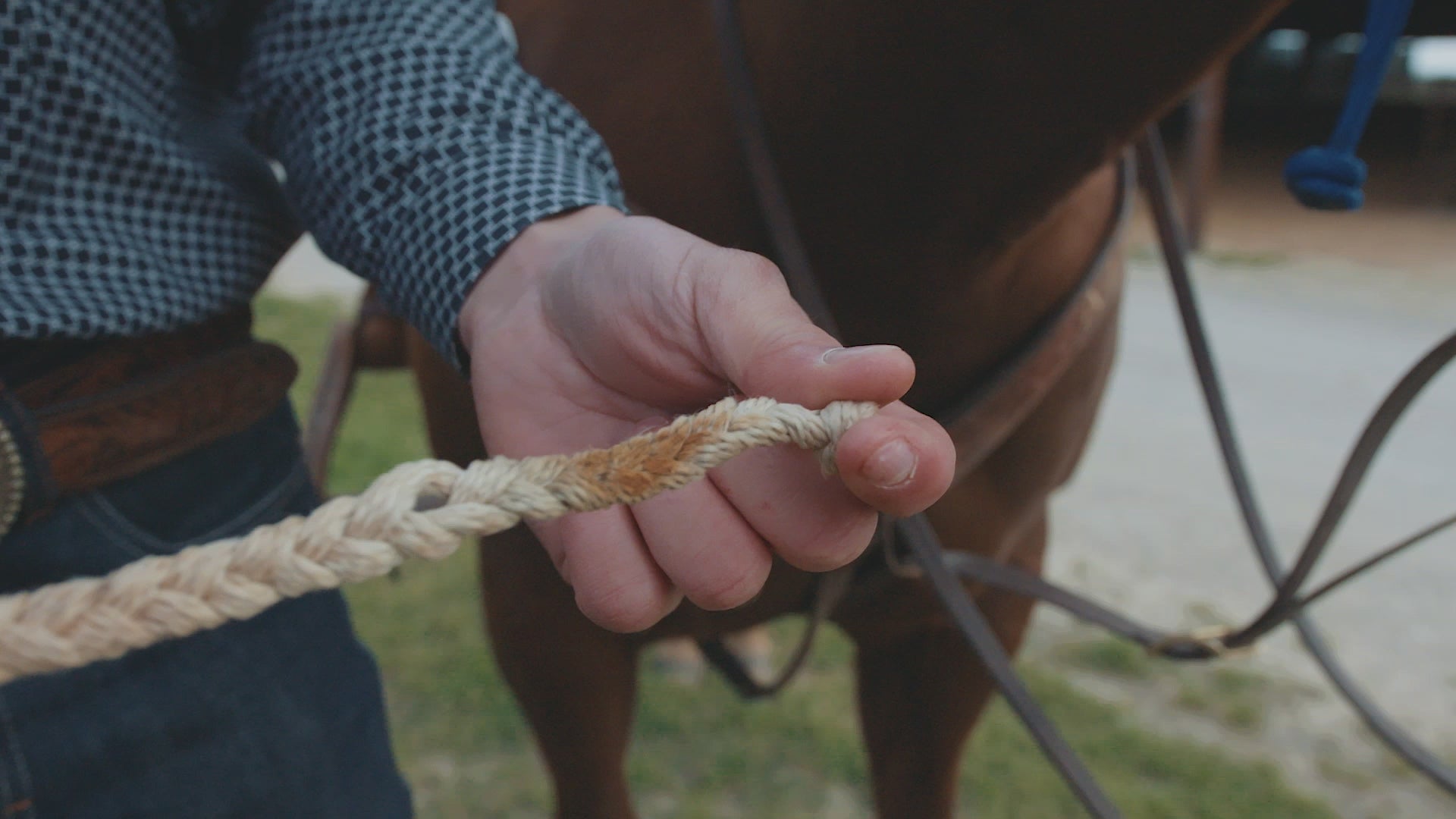 Video showing how to attach a Jerk Line Bit Hobble for use by a calf roper.