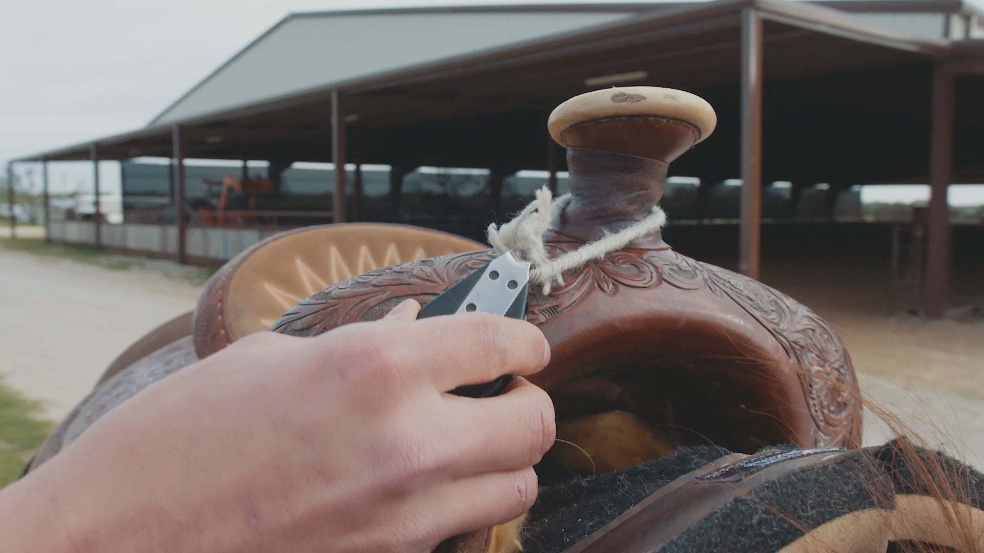 Video showing attaching jerk line for calf roping.