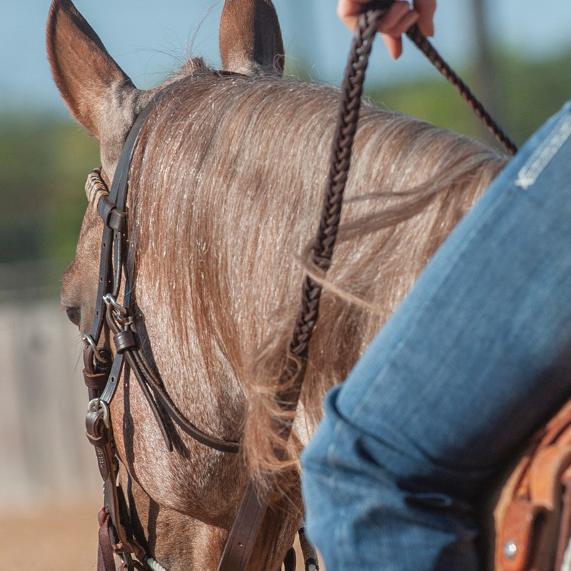Close-up of a horse with a person holding the 5 plait braided 3/4 inch latigo roping rein.
