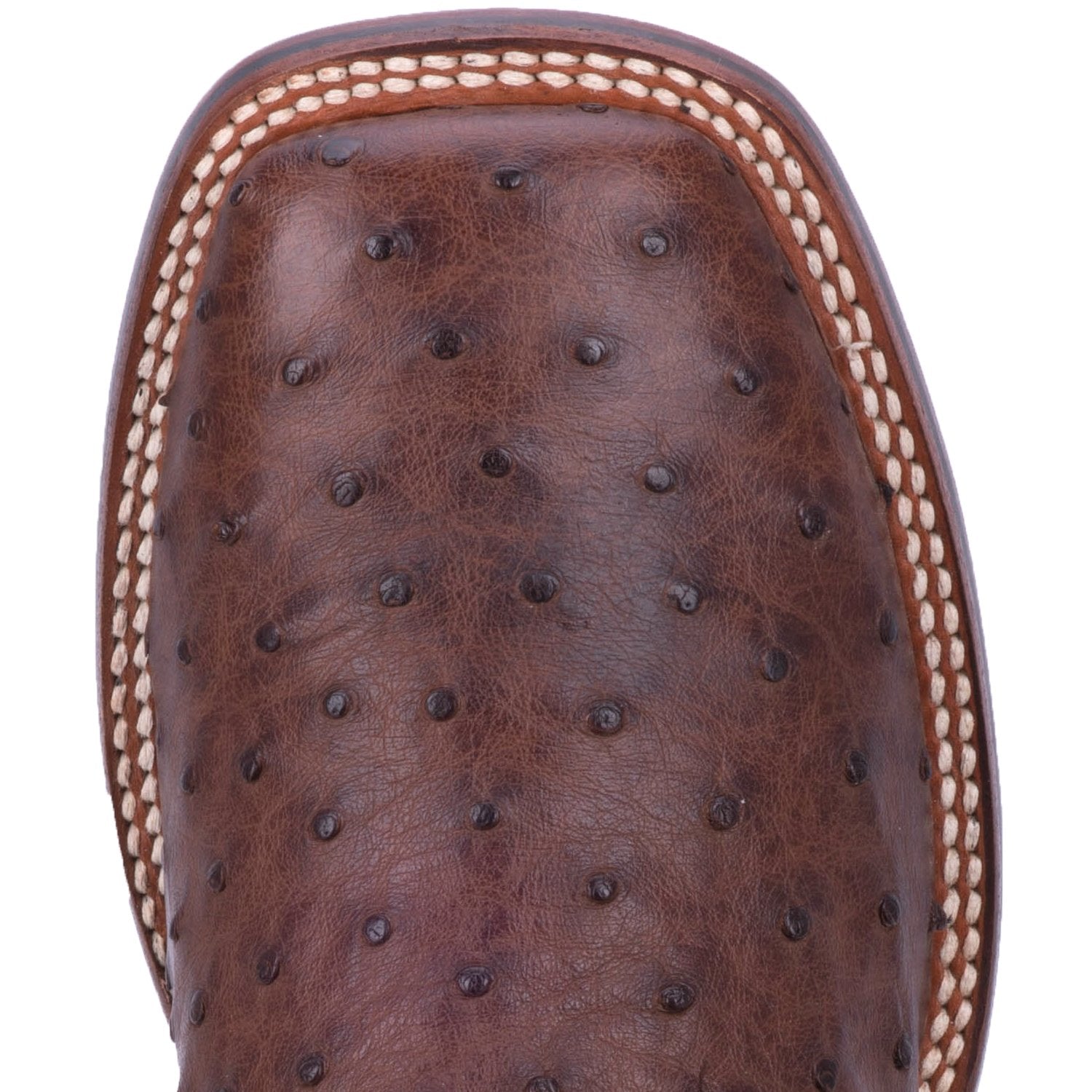 Men's Dan Post 11" Alamosa Chocolate Full Quill Ostrich Wide Square Toe Boot