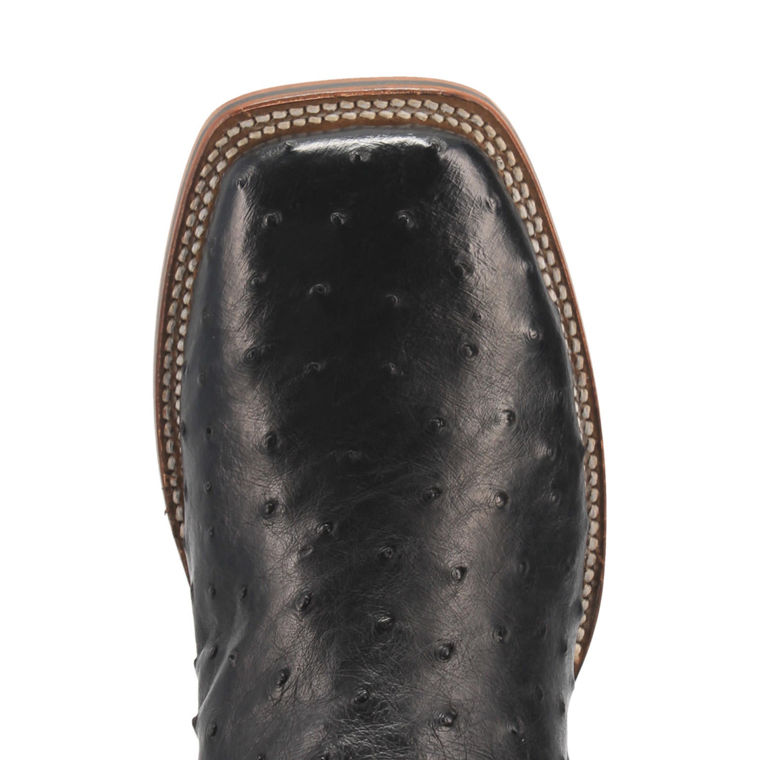 Men's Dan Post 11" Alamosa Black Full Quill Ostrich Wide Square Toe Boot