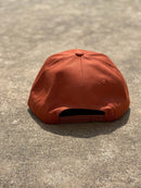 Longhorn Patch Cap