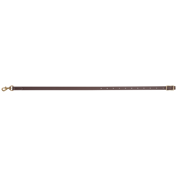 Martin Saddlery TDBIO 1" Biothane Tiedown Strap
