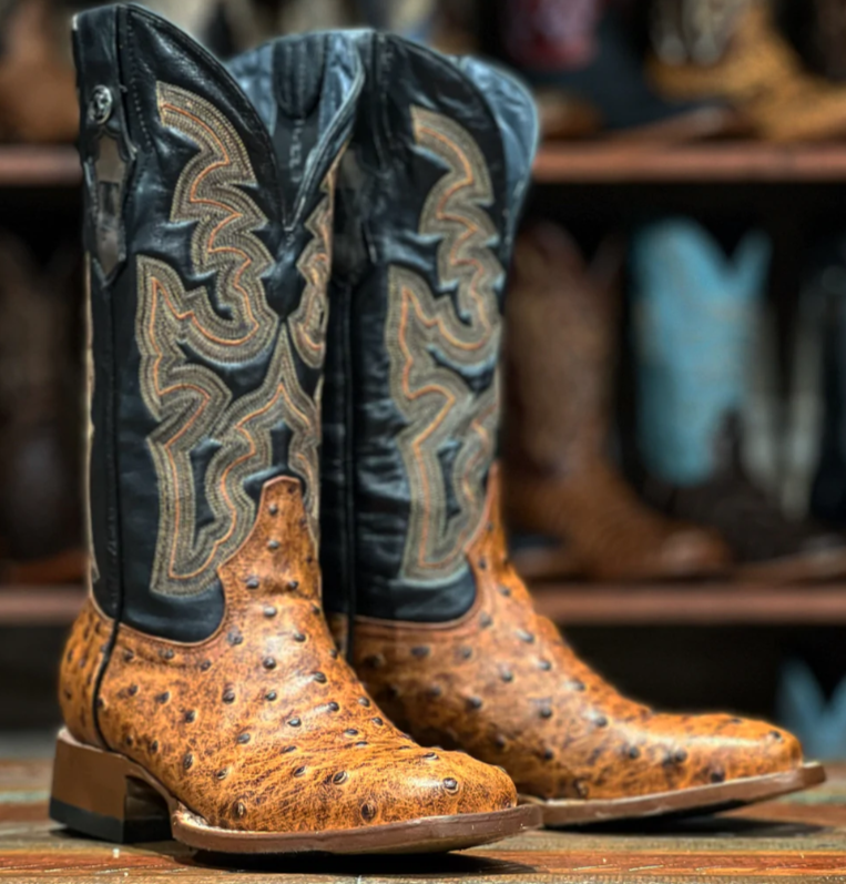 Women's Tanner Mark TML207102 Matte Cognac Ostrich Print w/Flex Fit Kabul Black Top Square Toe Boot