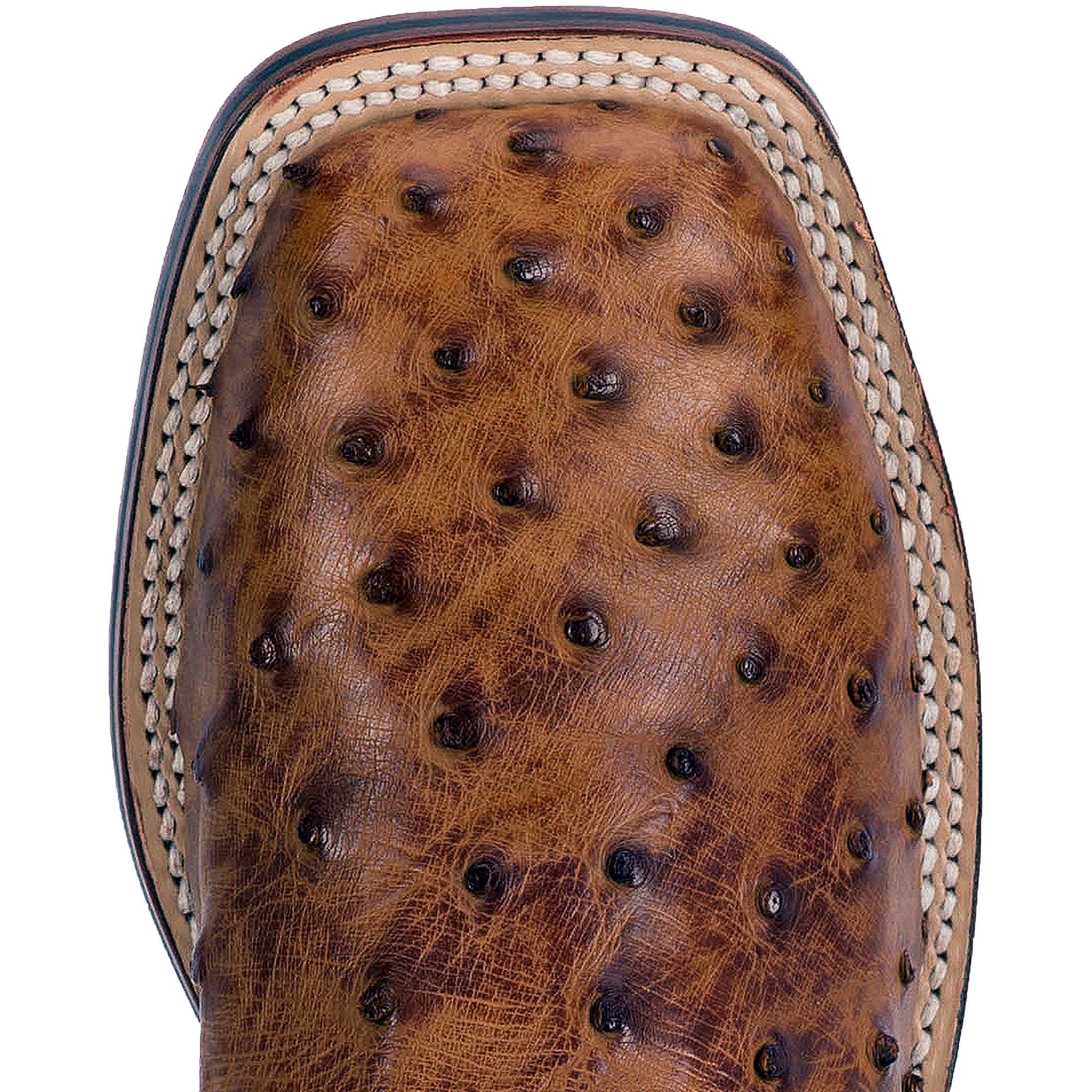 A toe profile view of the brown Dan Post Alamosa saddle tan full quill ostrich boot with a square toe.