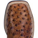 A toe profile view of the brown Dan Post Alamosa saddle tan full quill ostrich boot with a square toe.
