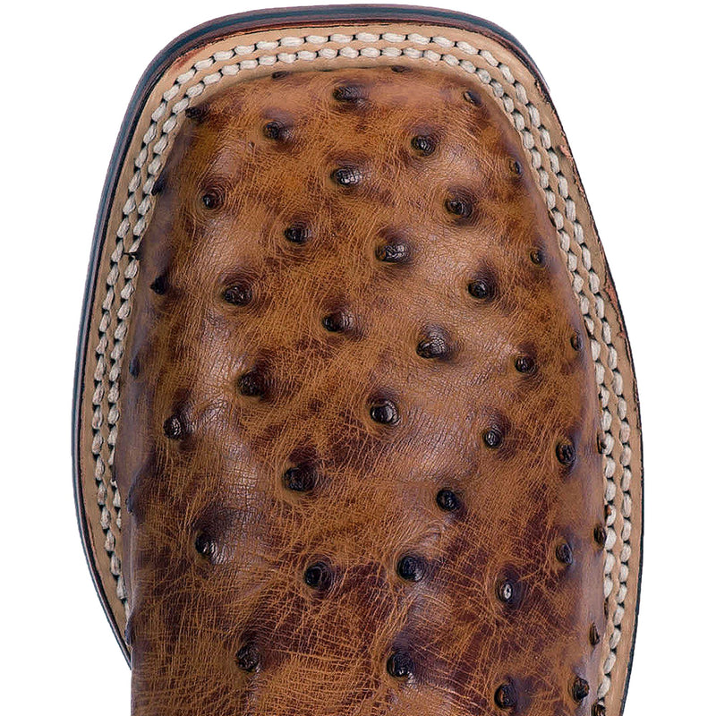 A toe profile view of the brown Dan Post Alamosa saddle tan full quill ostrich boot with a square toe.