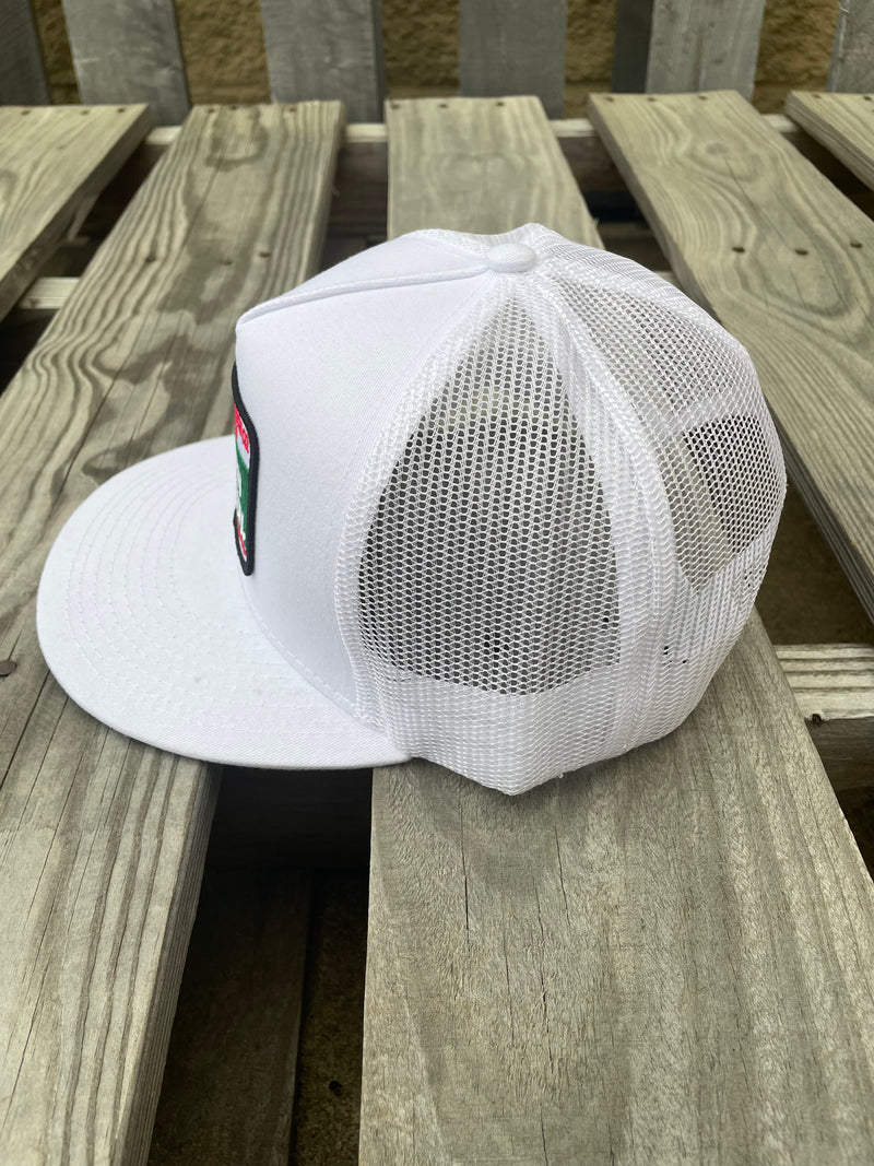 Whiskey Bent Hat Co Icy White Cattle ASSN.