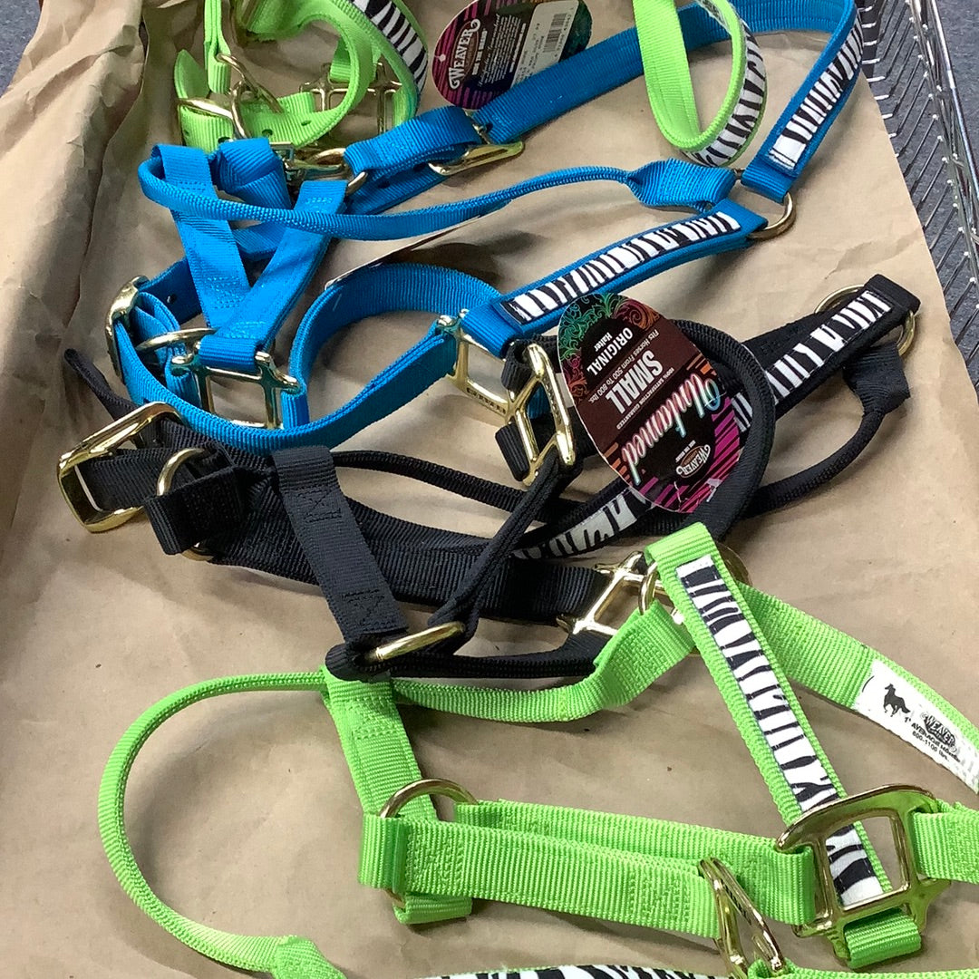 Weaver Leather Zebra Print Halter